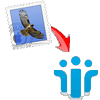 Transfer Apple Mail emails to Lotus Notes