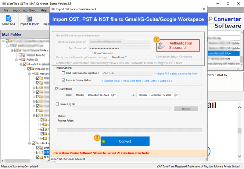 OST to Gmail login