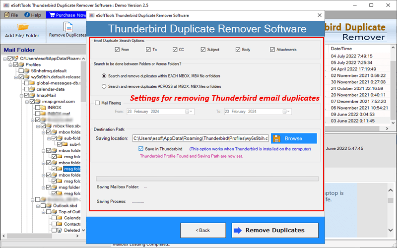 Duplicate Remover for Thunderbird Windows 11 download